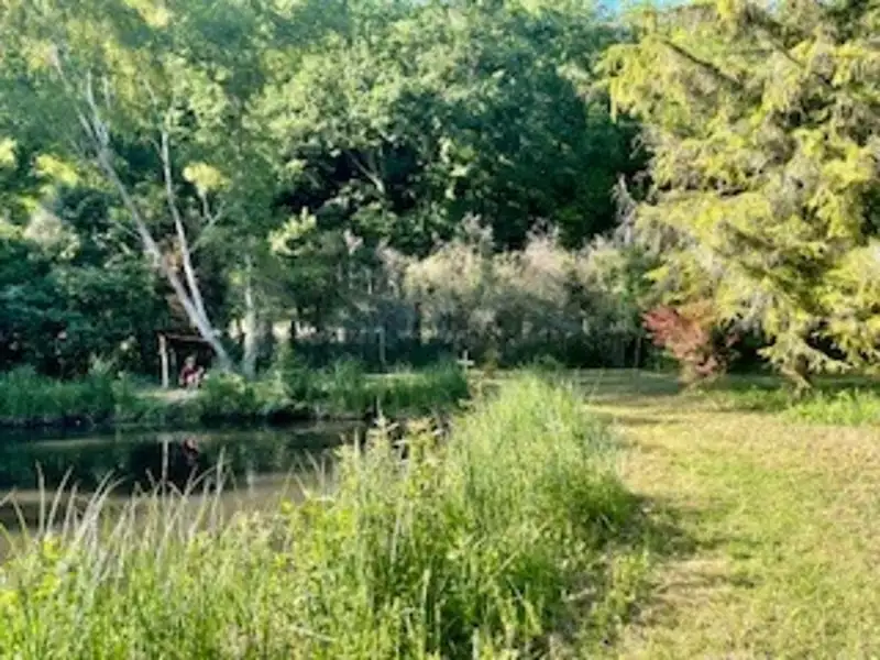 Étang de pêche à Torsac — photo 3