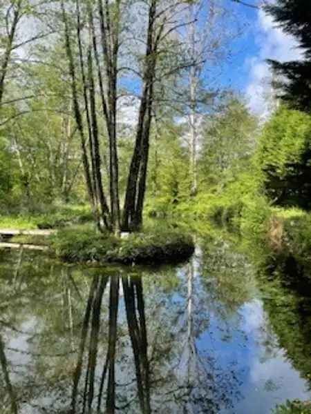 Étang de pêche à Torsac