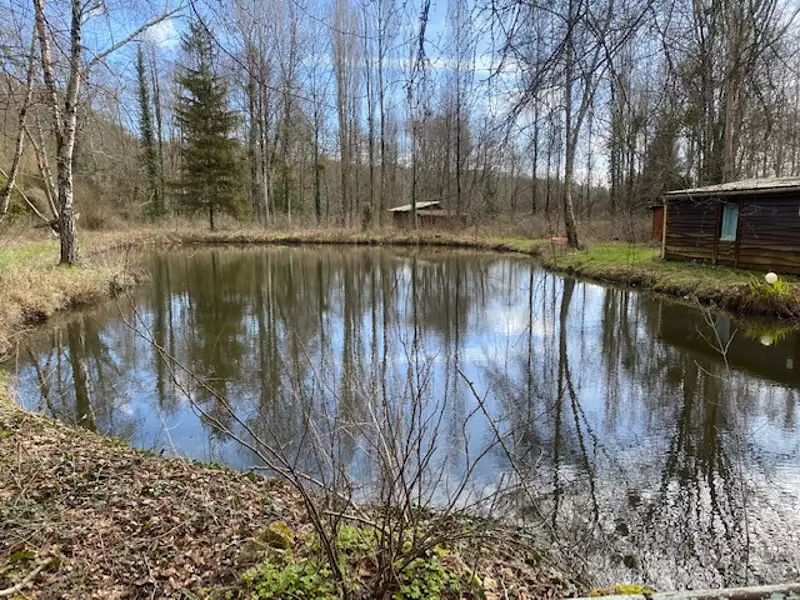Étang de pêche à Torsac — photo 5