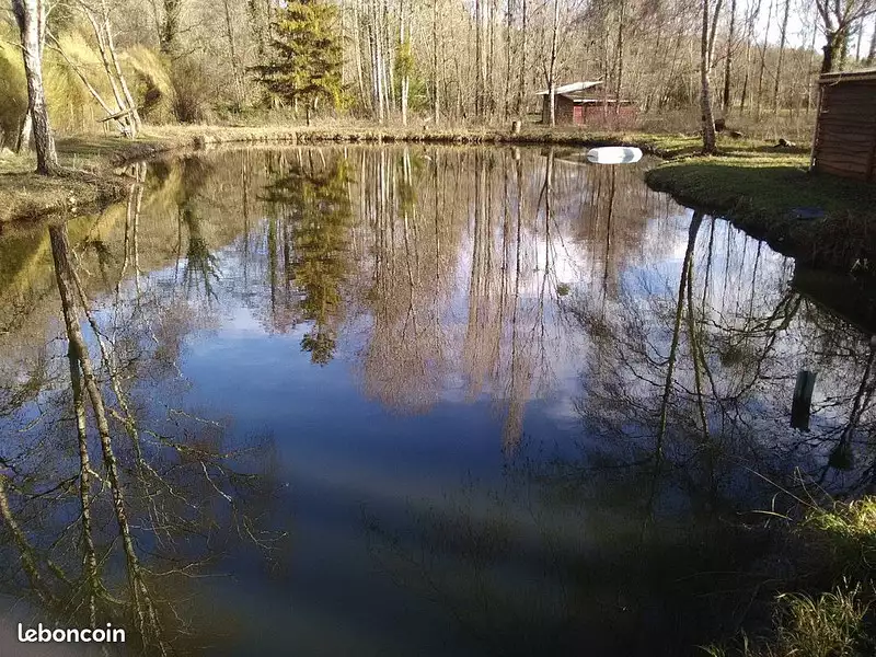 Étang de pêche à Torsac — photo 4