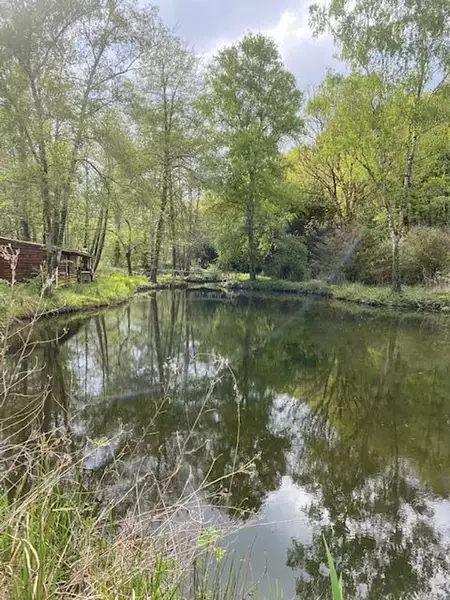 Étang de pêche à Torsac — photo 2