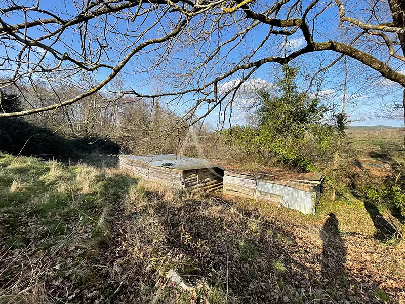 Étang d'agrément à Monsempron-Libos — photo 3