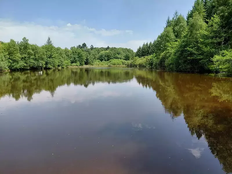 Étang de pêche à Pensol (87)