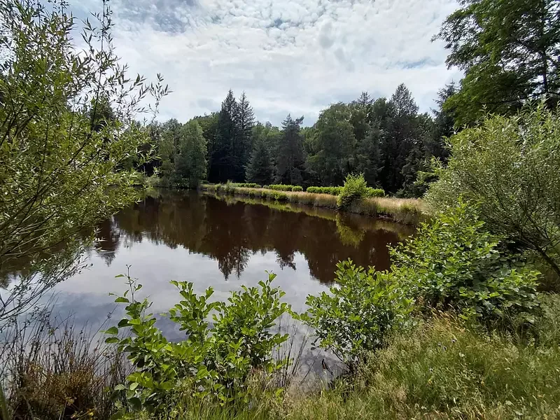 Étang de pêche à Pensol (87) — photo 3