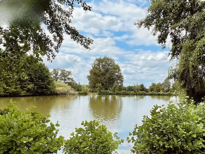 Étang d'agrément de 2 ha à Saint-Junien — photo 3