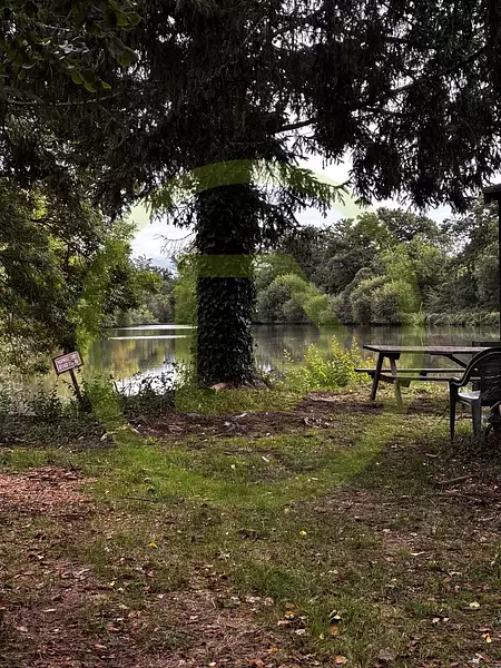 Étang d'agrément de 1 ha à Gouzon — photo 2