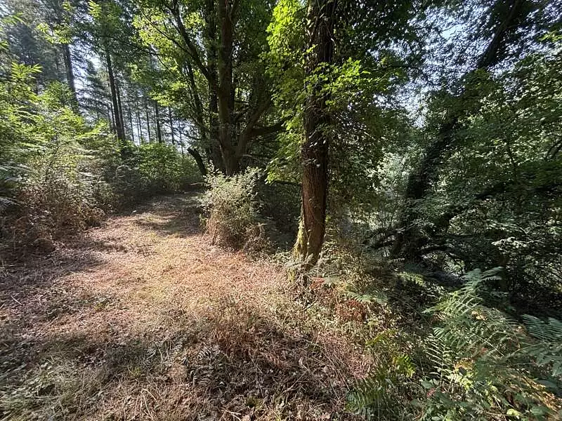 Étang d'agrément à Dournazac — photo 2