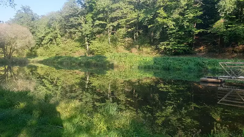 Étang d'agrément à Saint-Léonard-de-Noblat — photo 3