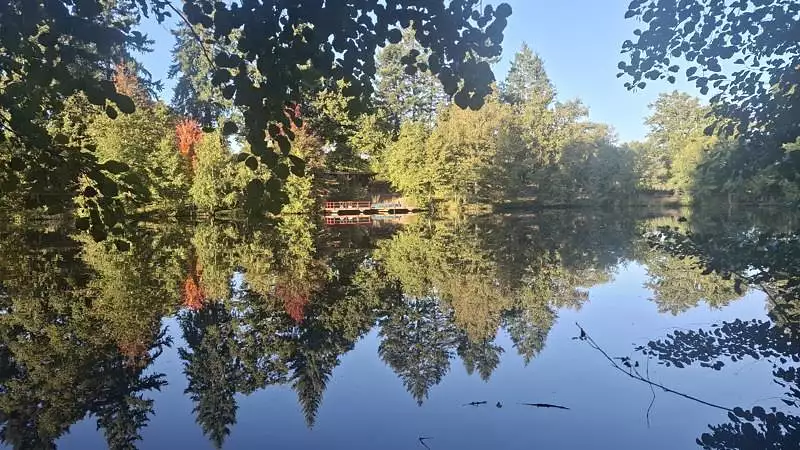 Étang de pêche à ST PRIEST SOUS AIXE