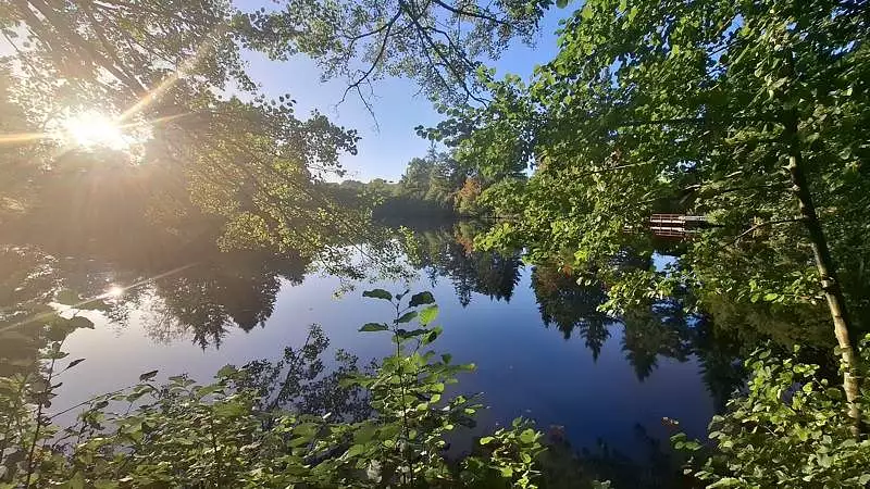 Étang de pêche à ST PRIEST SOUS AIXE — photo 5