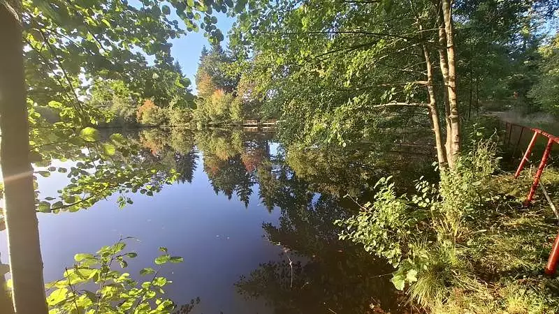 Étang de pêche à ST PRIEST SOUS AIXE — photo 3