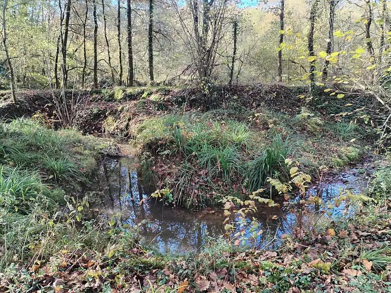Étang d'agrément à Amou