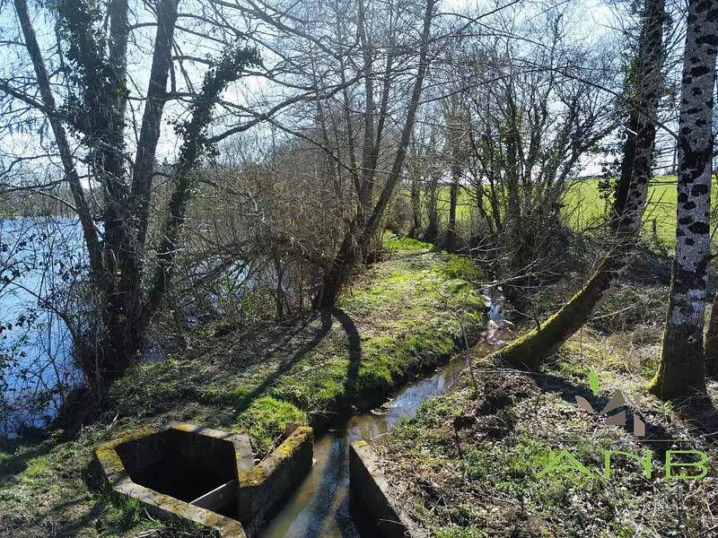 Étang de pêche à Mouzon — photo 3