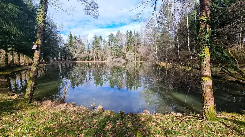 Leisure lake, 0.3 ha in Dordogne — photo 5
