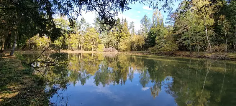 Leisure lake, 0.3 ha in Dordogne — photo 3