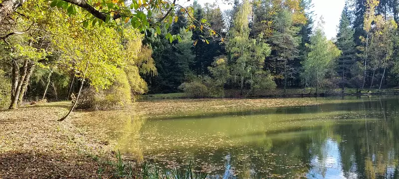 Leisure lake, 0.3 ha in Dordogne — photo 4