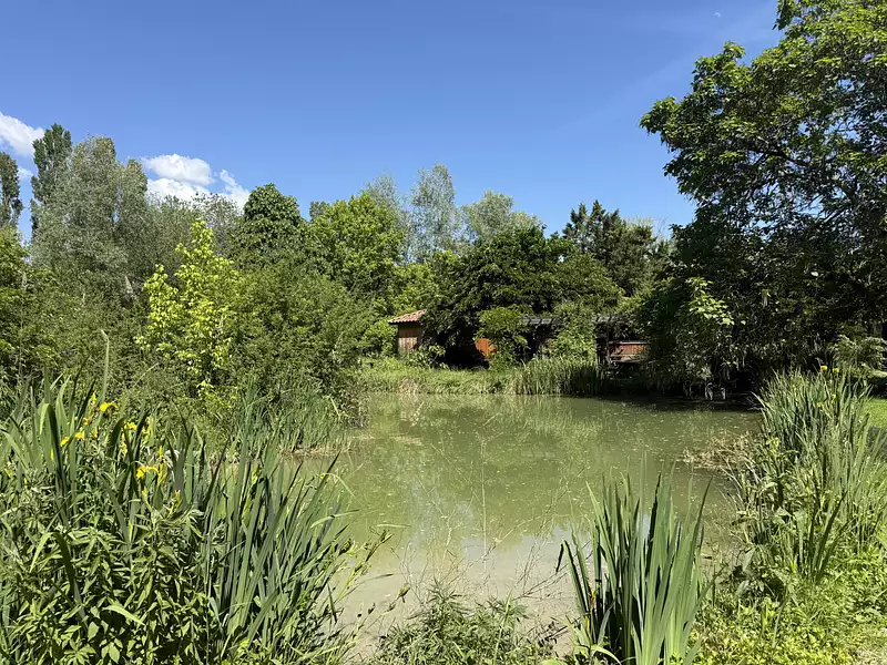 Étang de pêche à ch Cahuzac-sur-Vère — photo 4
