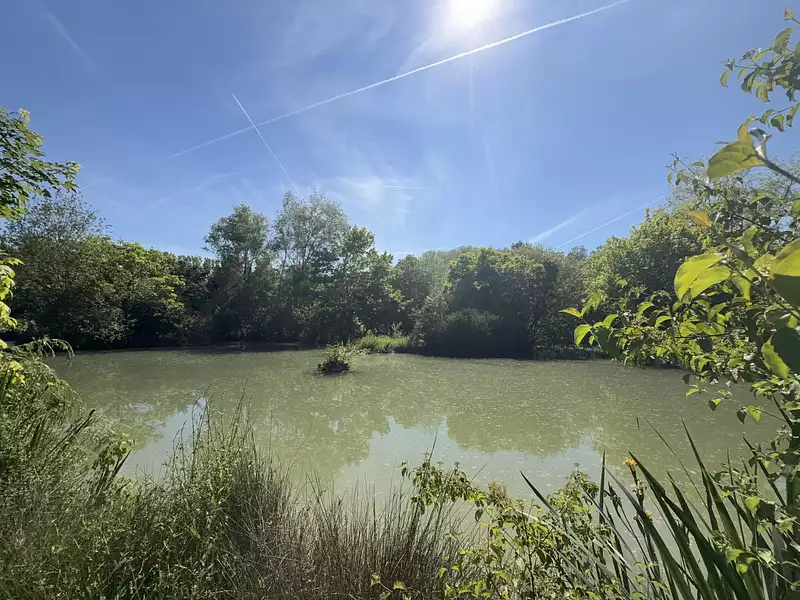 Étang de pêche à ch Cahuzac-sur-Vère