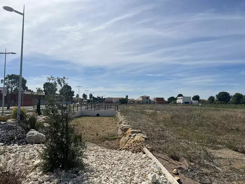 Étang d'agrément à Vendres — photo 3