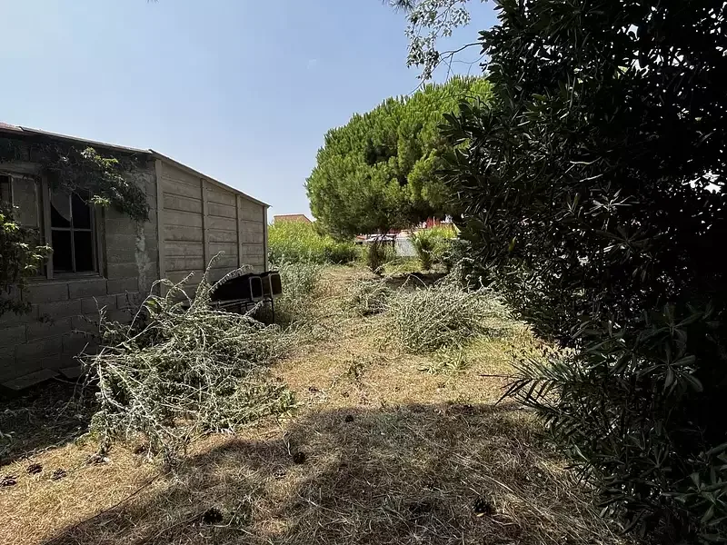 Étang de loisir à Le Barcares (66) — photo 3