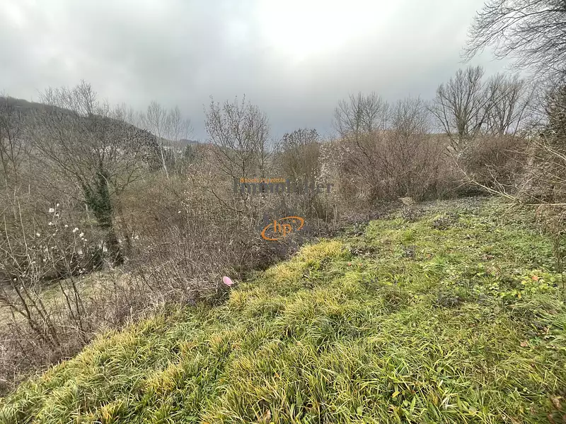Étang d'agrément à Saint-Beauzély — photo 2