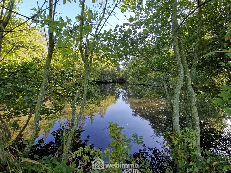 Étang de pêche à Nieul-le-Dolent — photo 2