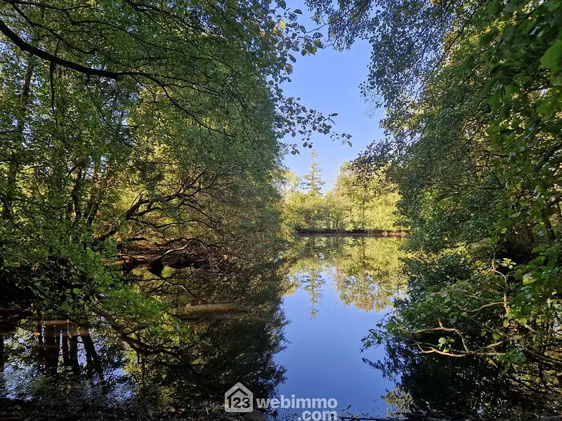 Étang de pêche à Nieul-le-Dolent — photo 3