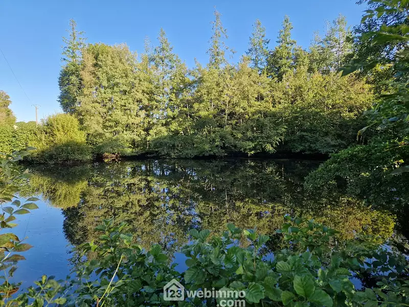 Étang de pêche à Nieul-le-Dolent