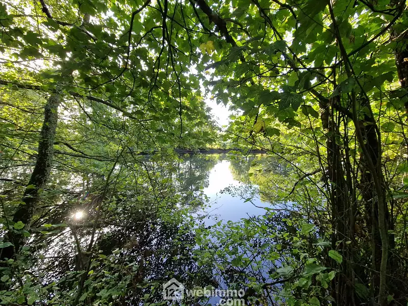 Étang de pêche à Nieul-le-Dolent — photo 4