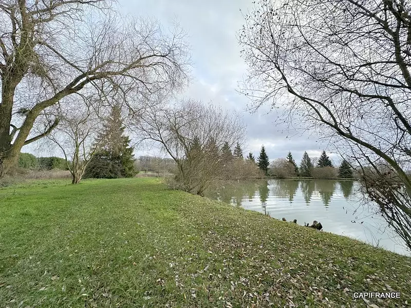 Fishing lake, 2.5 ha with island and amenities in the Loire Valley — photo 4