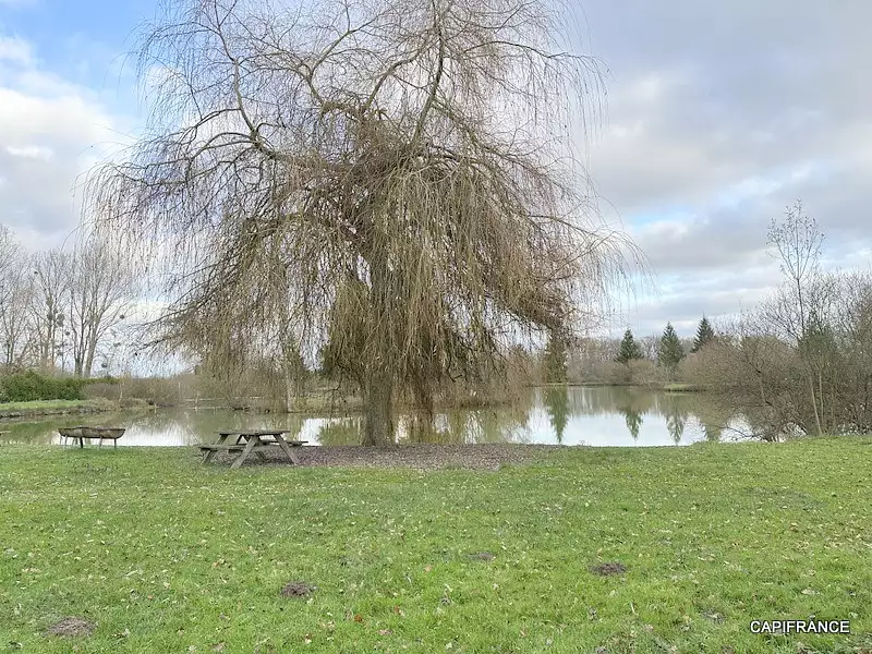 Étang de pêche à Lamnay — photo 3