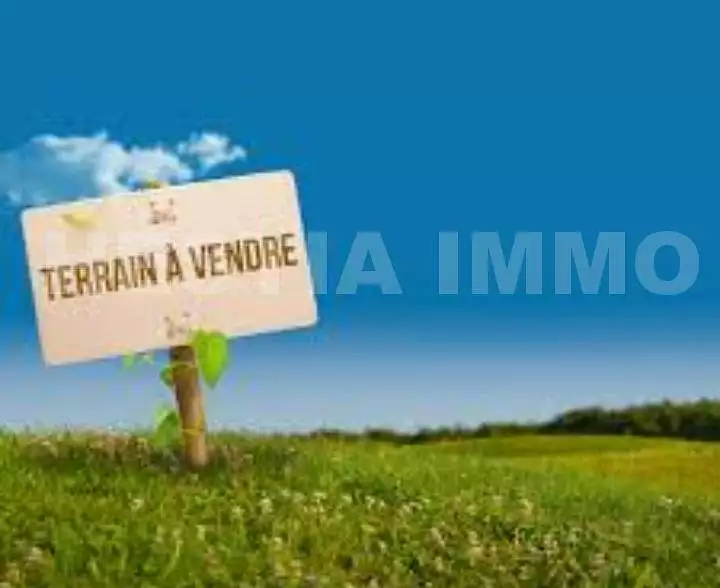 Étang d'agrément à Vallons-de-l'Erdre