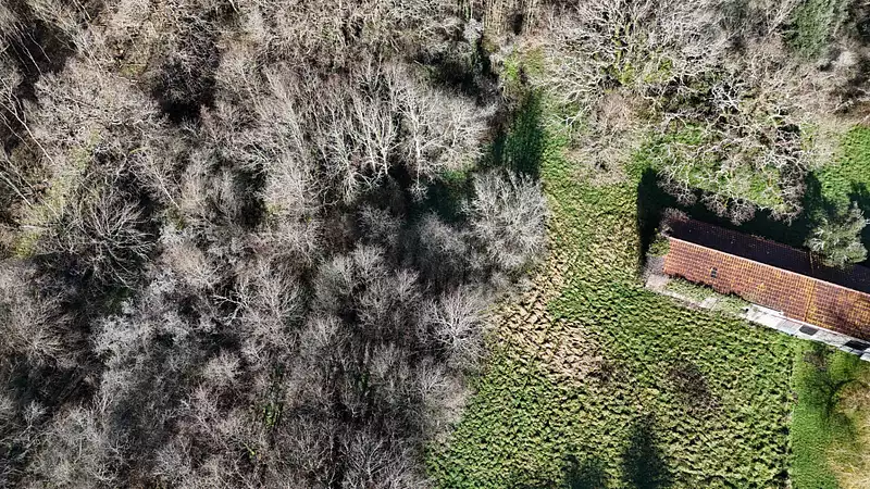 Étang d'agrément à La Garnache — photo 2