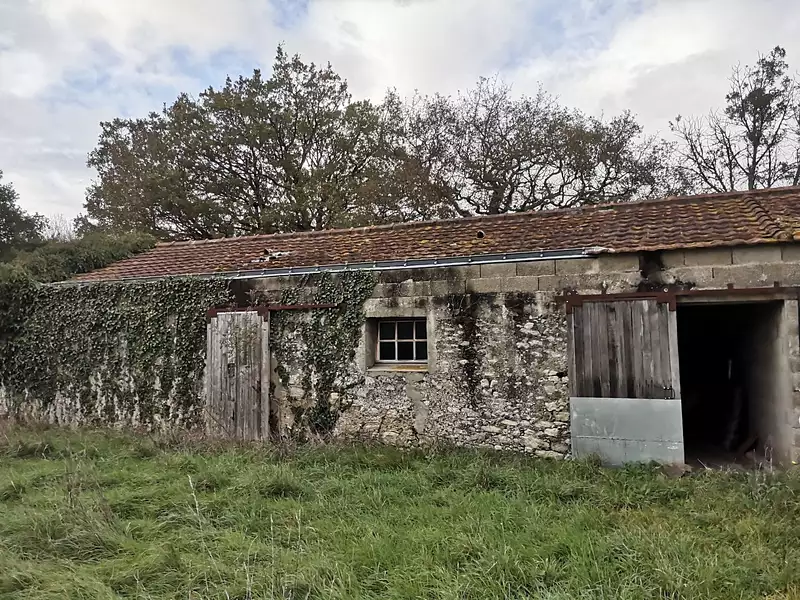 Étang d'agrément à La Garnache — photo 3