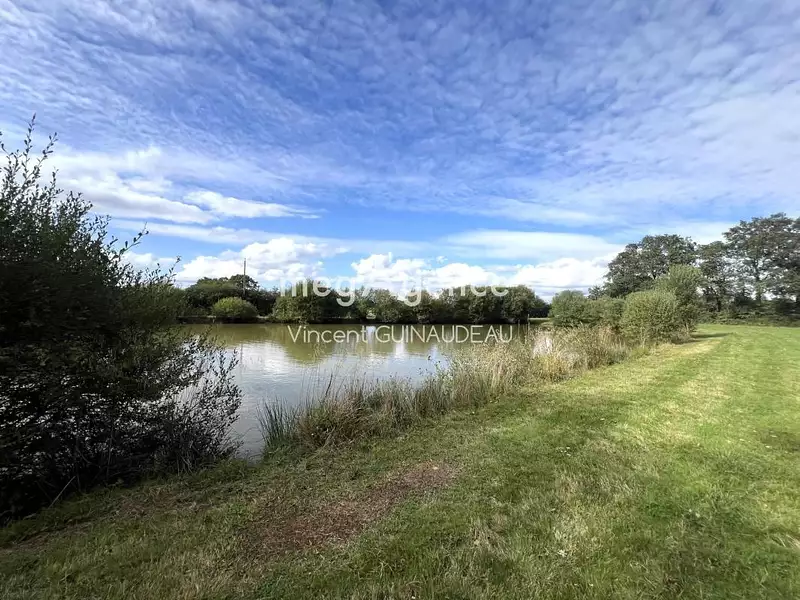Étang de pêche à Cholet