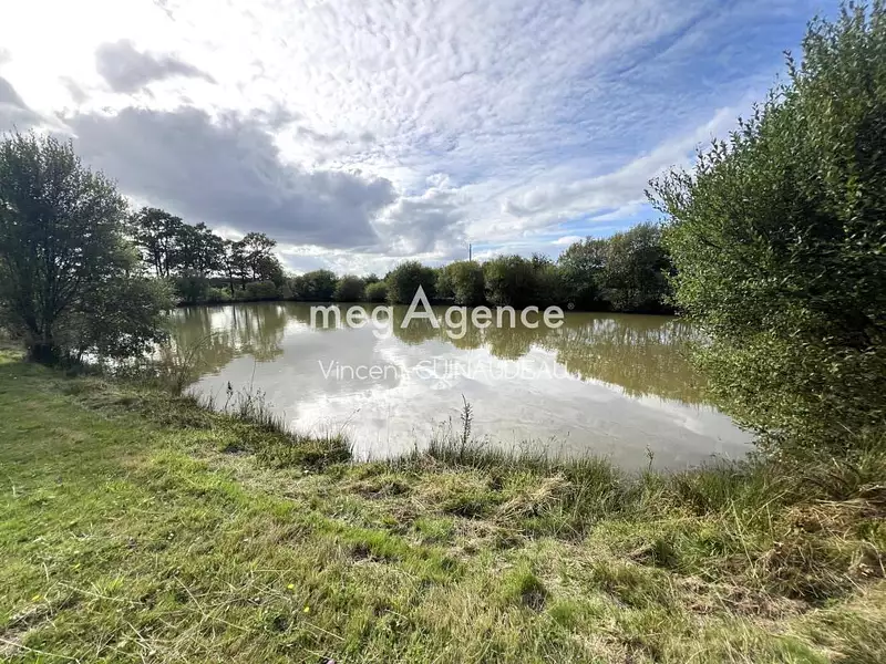 Étang de pêche à Cholet — photo 4