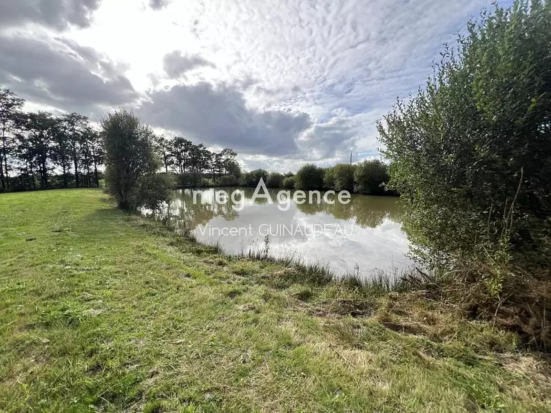 Étang de pêche à Cholet — photo 3