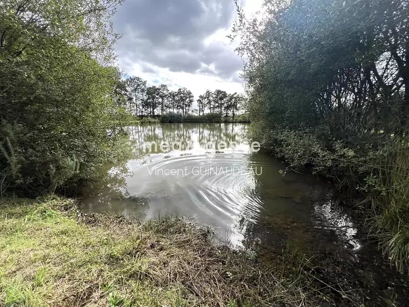 Étang de pêche à Cholet — photo 2