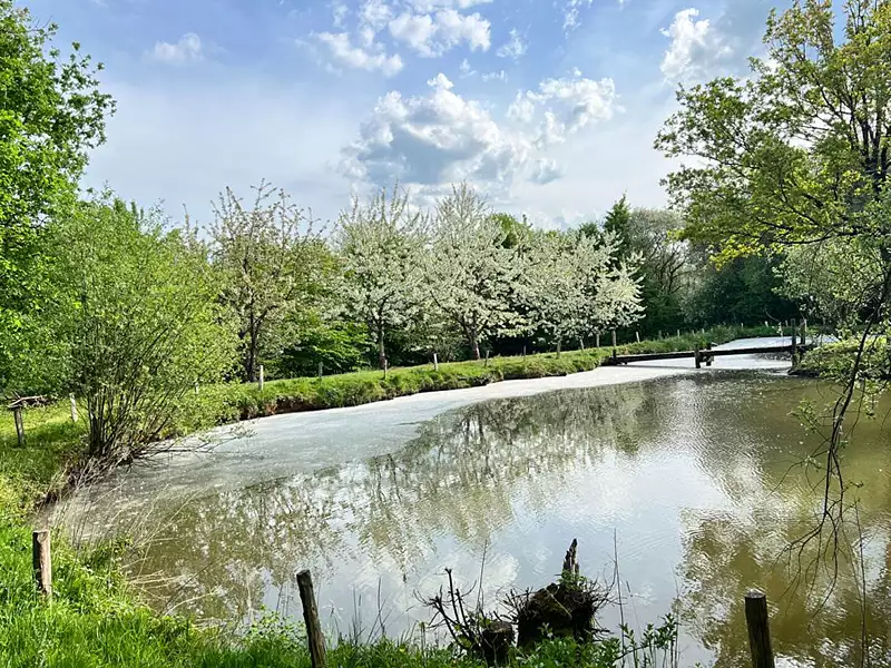 Étang de pêche à Pouzauges — photo 4