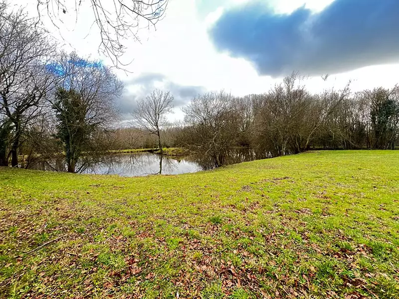 Fishing lake, 0.1 ha in Vendée — photo 4