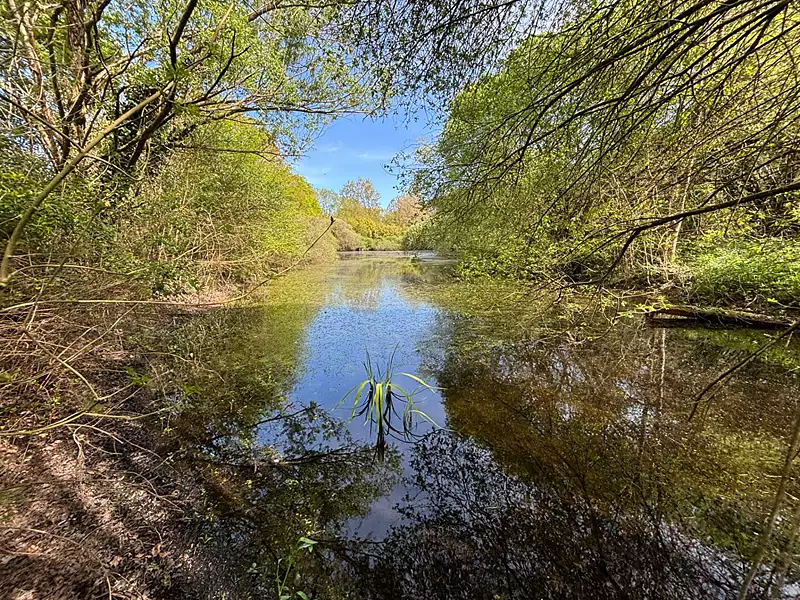 Étang de pêche à Froidfond — photo 2