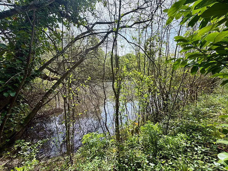 Étang de pêche à Froidfond — photo 3