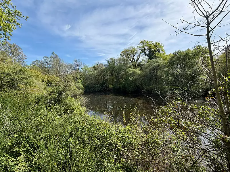Étang de pêche à Froidfond