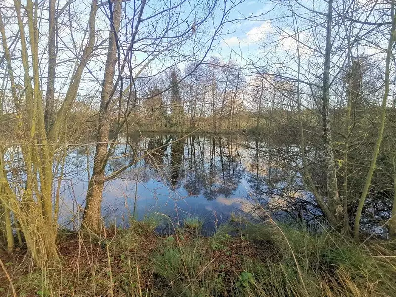 Étang d'agrément à Sainte-Cécile
