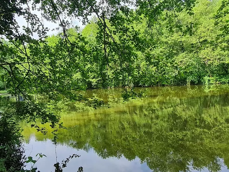 Étang de pêche à Craon — photo 3