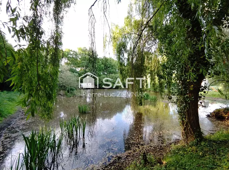 Étang de pêche à Houssay — photo 2