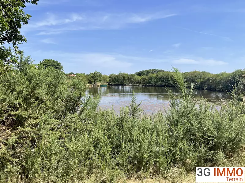 Étang de pêche à Les Pineaux