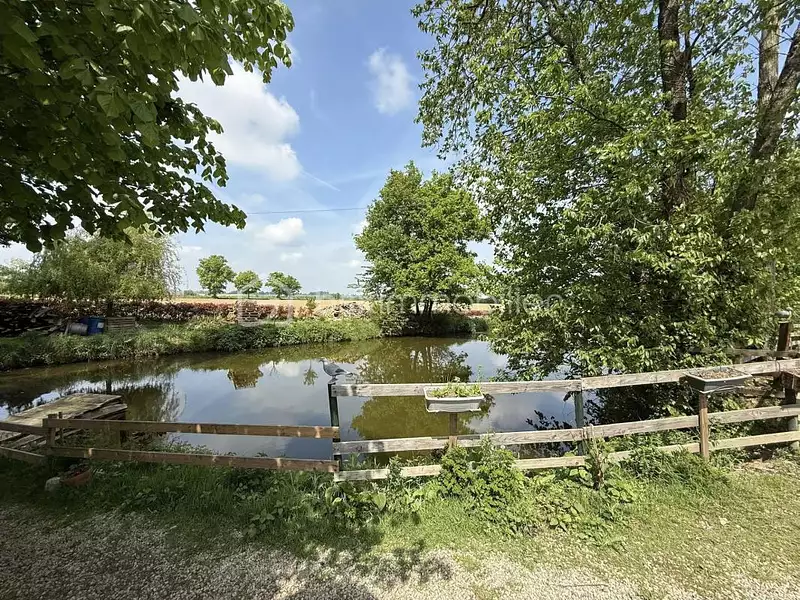 Étang de pêche à Mée — photo 2
