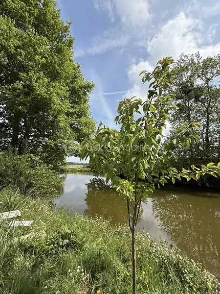 Étang de pêche à Mée