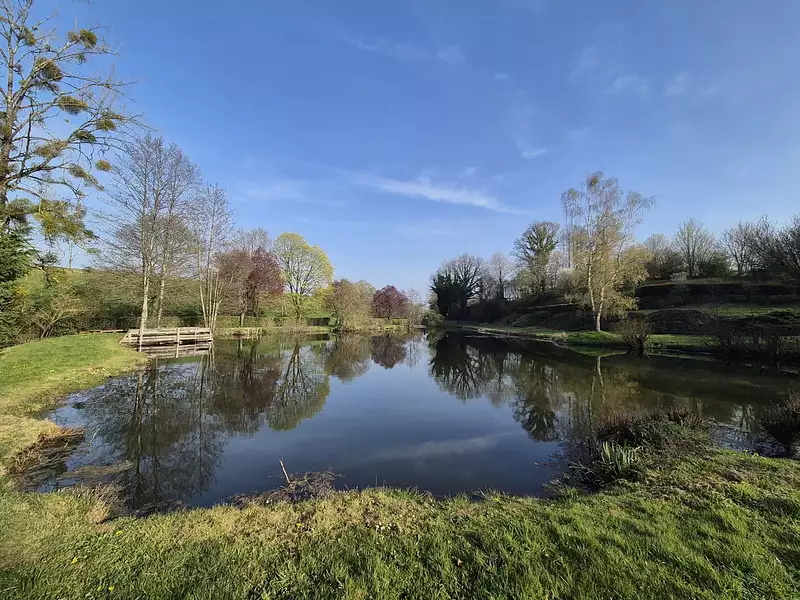 Étang d'agrément à Le Bourgneuf-la-Forêt